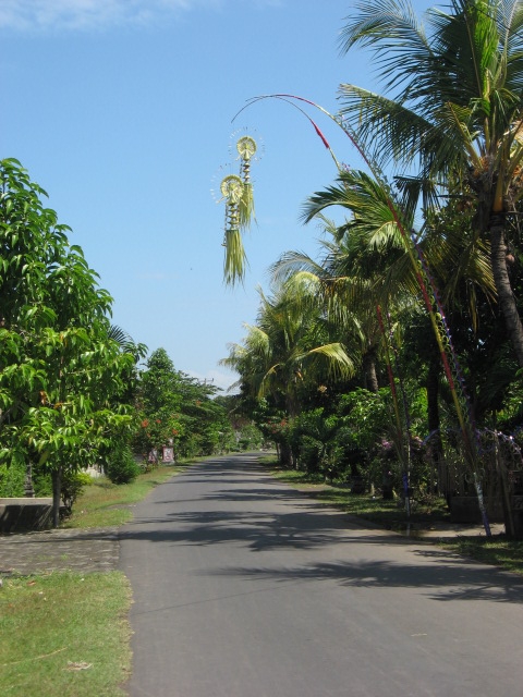 Bali Roads